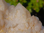 Natural "Love Star" Cascading Pineapple Quartz Crystal Cluster x 1 From Madagascar