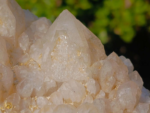 Natural "Love Star" Cascading Pineapple Quartz Crystal Cluster x 1 From Madagascar