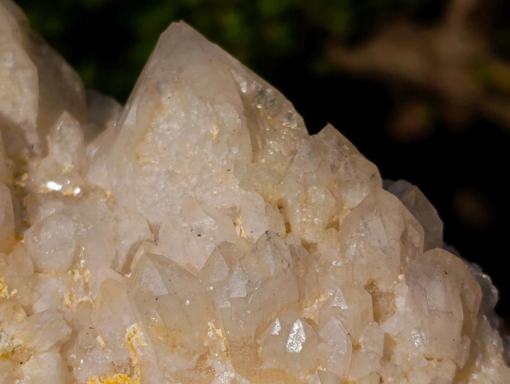 Natural "Love Star" Cascading Pineapple Quartz Crystal Cluster x 1 From Madagascar