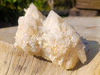 Natural "Love Star" Cascading Pineapple Quartz Crystal Cluster x 1 From Madagascar