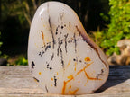 Polished Dendritic Carnelian Agate Display Piece x 1 From Moralambo, Madagascar