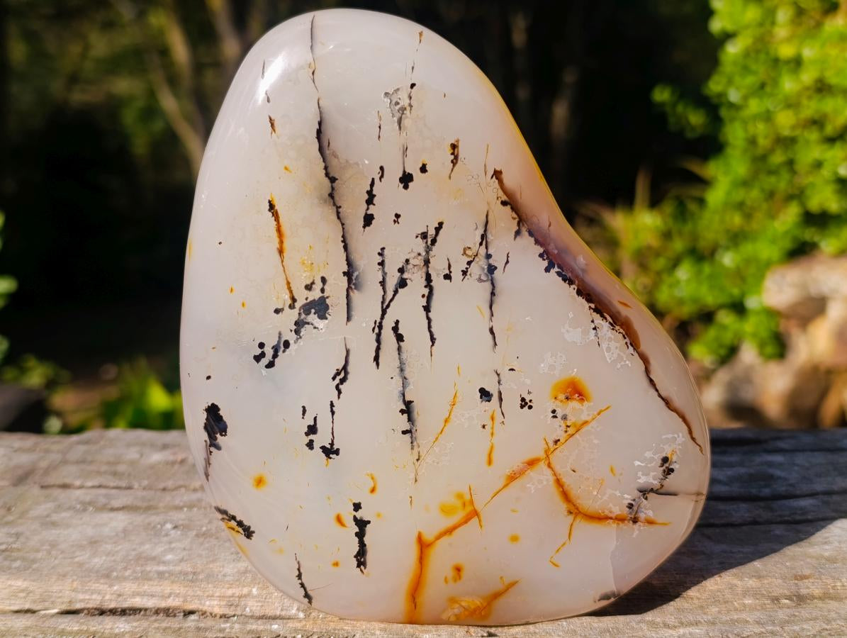 Polished Dendritic Carnelian Agate Display Piece x 1 From Moralambo, Madagascar