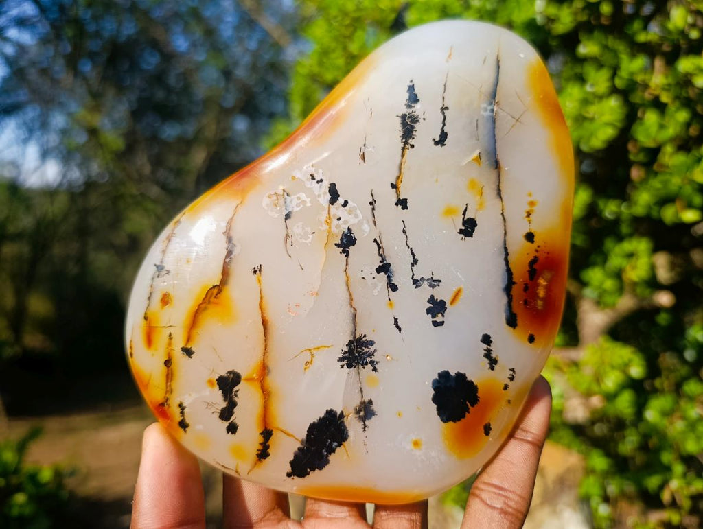 Polished Dendritic Carnelian Agate Display Piece x 1 From Moralambo, Madagascar