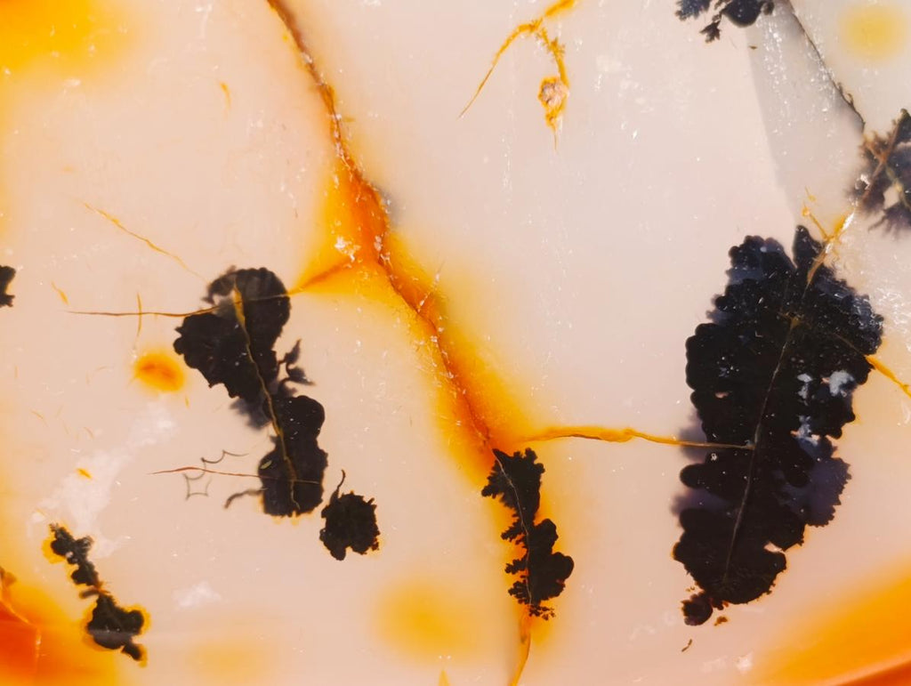 Polished Dendritic Carnelian Agate Display Piece x 1 From Moralambo, Madagascar