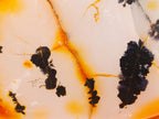 Polished Dendritic Carnelian Agate Display Piece x 1 From Moralambo, Madagascar