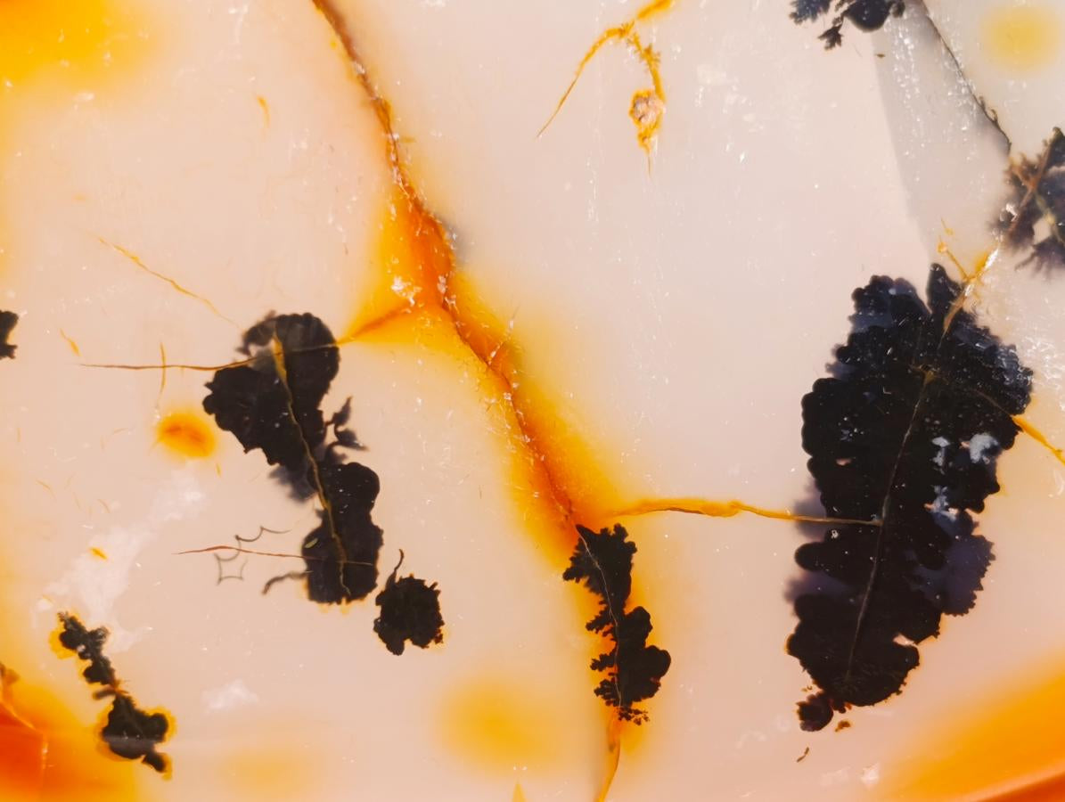 Polished Dendritic Carnelian Agate Display Piece x 1 From Moralambo, Madagascar