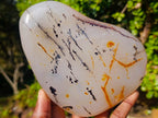 Polished Dendritic Carnelian Agate Display Piece x 1 From Moralambo, Madagascar