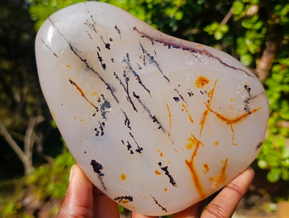 Polished Dendritic Carnelian Agate Display Piece x 1 From Moralambo, Madagascar