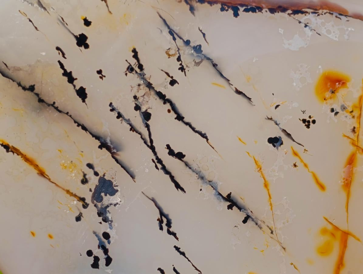 Polished Dendritic Carnelian Agate Display Piece x 1 From Moralambo, Madagascar
