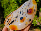 Polished Dendritic Carnelian Agate Display Piece x 1 From Moralambo, Madagascar