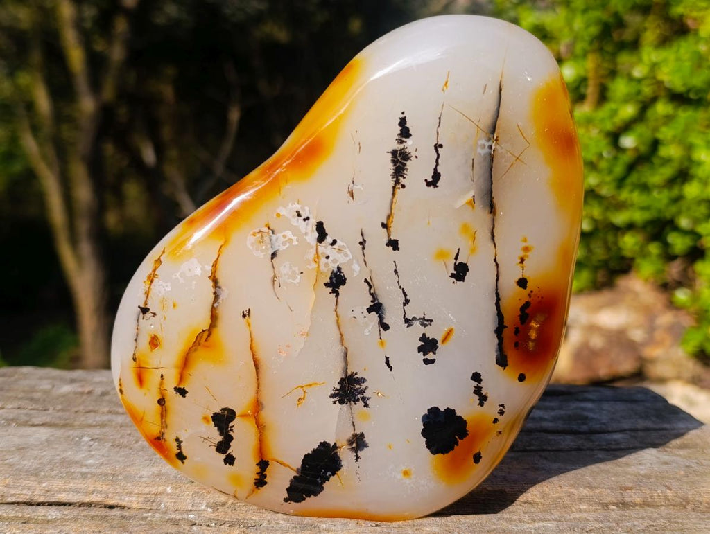Polished Dendritic Carnelian Agate Display Piece x 1 From Moralambo, Madagascar