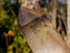 Polished Smokey Citrine Phantom Quartz Display Crystal x 1 From Anjozorobe, Madagascar