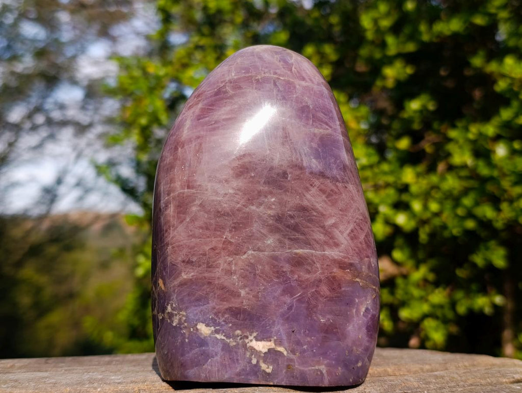 Polished Super Rare Lavender Rose Quartz Standing Display Piece x 1 From Ambatondrazaka, Madagascar