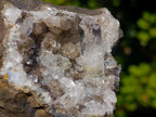 Natural Clear Brandberg Quartz Crystal Geode with Fluorescent Calcite Crystals x 1 From Brandberg, Namibia