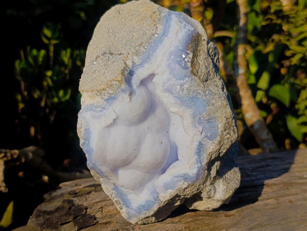 Natural Large Botryoidal Blue Lace Agate Specimen x 1 From Nsanje, Malawi