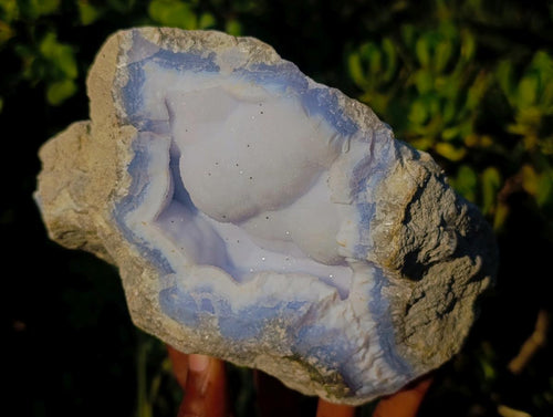 Natural Large Botryoidal Blue Lace Agate Specimen x 1 From Nsanje, Malawi