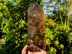 Polished Large Smokey Quartz Display Crystal with Veil Inclusions x 1 From Anjozorobe, Madagascar
