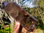 Polished Large Smokey Quartz Display Crystal with Veil Inclusions x 1 From Anjozorobe, Madagascar