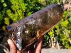 Polished Large Smokey Quartz Display Crystal with Veil Inclusions x 1 From Anjozorobe, Madagascar