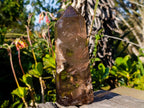 Polished Large Smokey Quartz Display Crystal with Veil Inclusions x 1 From Anjozorobe, Madagascar