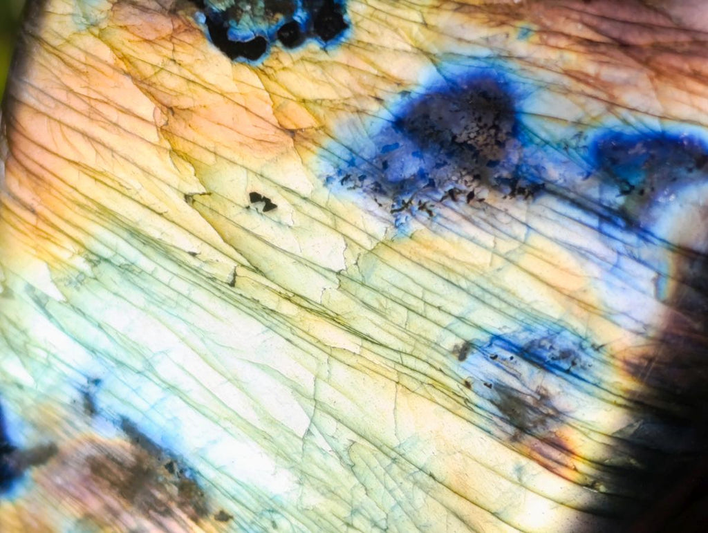 Polished Blue Flash Labradorite Standing Display Piece x 1 From Tulear, Madagascar
