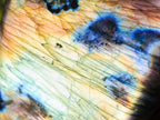 Polished Blue Flash Labradorite Standing Display Piece x 1 From Tulear, Madagascar