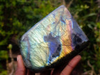 Polished Blue Flash Labradorite Standing Display Piece x 1 From Tulear, Madagascar