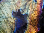 Polished Blue Flash Labradorite Standing Display Piece x 1 From Tulear, Madagascar