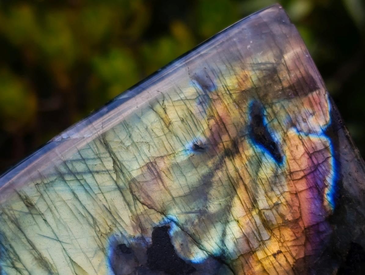 Polished Blue Flash Labradorite Standing Display Piece x 1 From Tulear, Madagascar