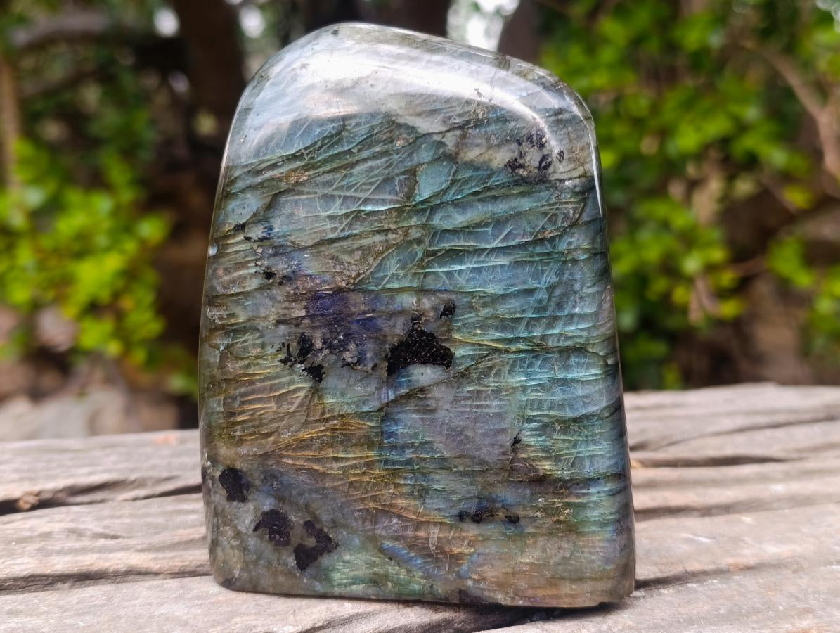 Polished Blue Flash Labradorite Standing Display Piece x 1 From Tulear, Madagascar