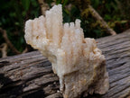 Natural Rare Lesotho Snow Finger Quartz Cluster x 1 From Lesotho