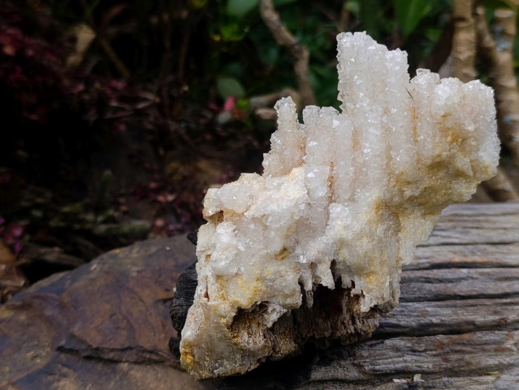 Natural Rare Lesotho Snow Finger Quartz Cluster x 1 From Lesotho