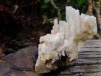 Natural Rare Lesotho Snow Finger Quartz Cluster x 1 From Lesotho