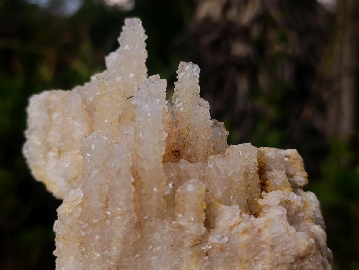 Natural Rare Lesotho Snow Finger Quartz Cluster x 1 From Lesotho
