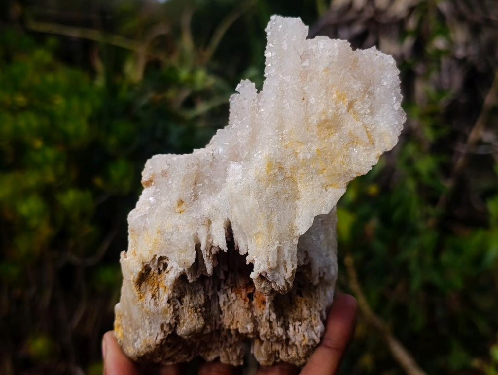 Natural Rare Lesotho Snow Finger Quartz Cluster x 1 From Lesotho