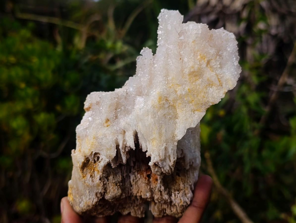 Natural Rare Lesotho Snow Finger Quartz Cluster x 1 From Lesotho