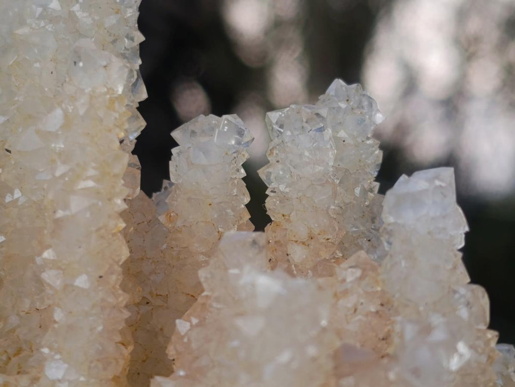 Natural Rare Lesotho Snow Finger Quartz Cluster x 1 From Lesotho