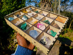 Natural Mix of African Specimens Set of 20 in a Wooden Display Box x 1 From Southern Africa