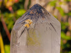 Polished Clear Quartz Crystal with Schorl Black Tourmaline Crystal Inclusions x 1 From Madagascar
