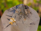 Polished Clear Quartz Crystal with Schorl Black Tourmaline Crystal Inclusions x 1 From Madagascar