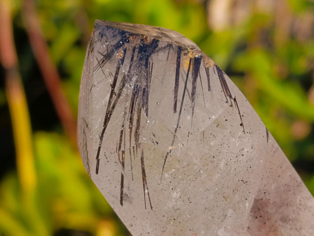 Polished Clear Quartz Crystal with Schorl Black Tourmaline Crystal Inclusions x 1 From Madagascar