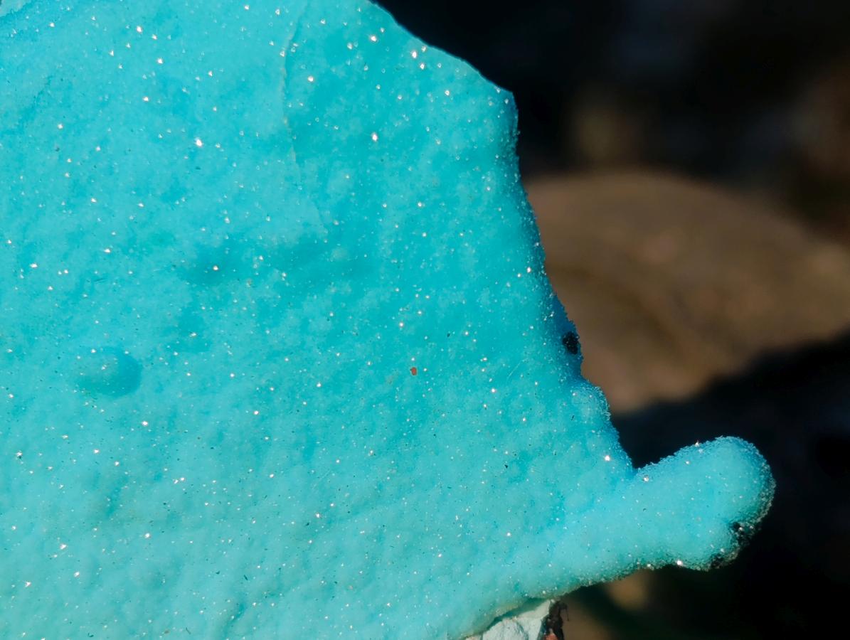 Natural Stalagmitic Drusy Coated Chrysocolla Specimen on Dolomite x 1 From Likasi, Congo