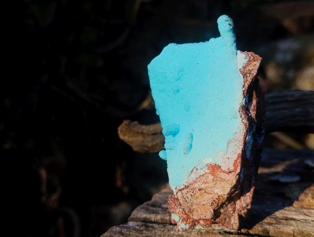Natural Stalagmitic Drusy Coated Chrysocolla Specimen on Dolomite x 1 From Likasi, Congo