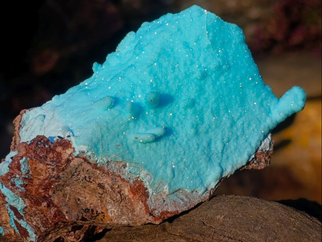 Natural Stalagmitic Drusy Coated Chrysocolla Specimen on Dolomite x 1 From Likasi, Congo