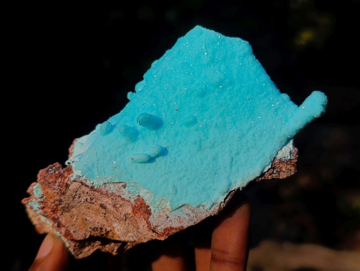 Natural Stalagmitic Drusy Coated Chrysocolla Specimen on Dolomite x 1 From Likasi, Congo