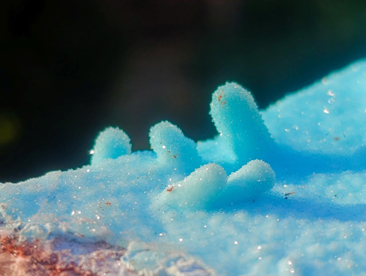 Natural Stalagmitic Drusy Coated Chrysocolla Specimen on Dolomite x 1 From Likasi, Congo