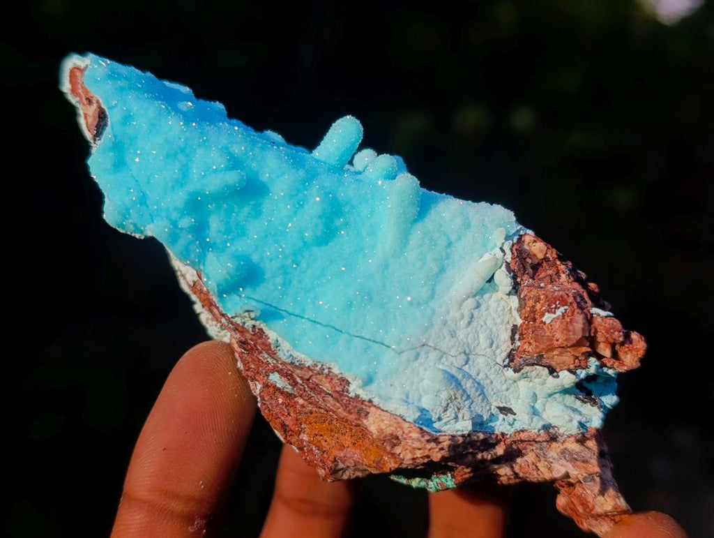 Natural Stalagmitic Drusy Coated Chrysocolla Specimen on Dolomite x 1 From Likasi, Congo