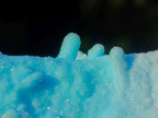 Natural Stalagmitic Drusy Coated Chrysocolla Specimen on Dolomite x 1 From Likasi, Congo