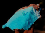 Natural Stalagmitic Drusy Coated Chrysocolla Specimen on Dolomite x 1 From Likasi, Congo