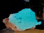 Natural Stalagmitic Drusy Coated Chrysocolla Specimen on Dolomite x 1 From Likasi, Congo